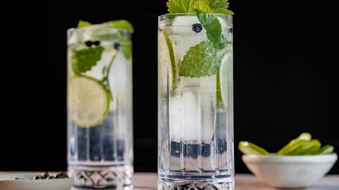 Gin and Tonic Recipe