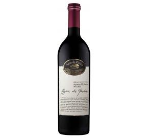 Agua de Piedra Gran Seleccion Malbec, Mendoza, Argentina